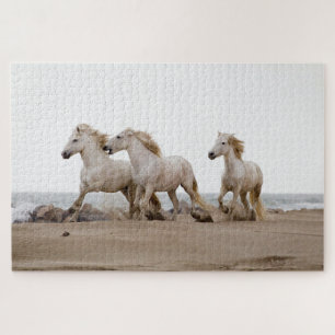 Camargue Pferde laufen am Strand