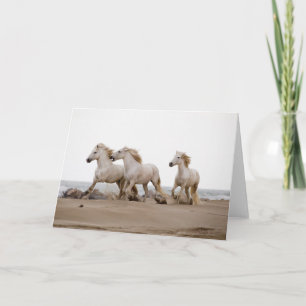 Camargue-Pferde laufen am Strand Karte