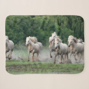 Camargue-Pferde laufen im Wasser Sherpadecke