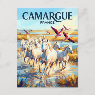 Camargue Regionaler Naturpark Frankreich Postkarte
