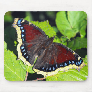 Camberwell Schönheits-oder Mousepad
