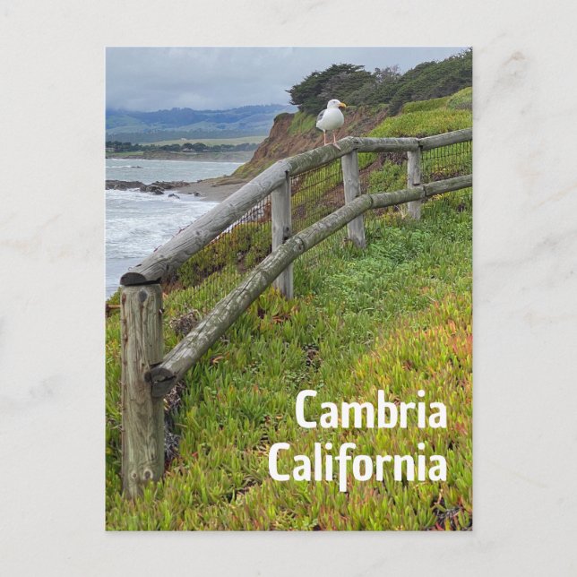 Cambria California Postkarte (Vorderseite)
