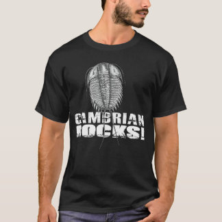 Cambrian Rocks Mädchen T-Shirt