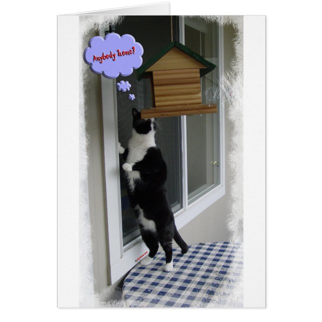 Cambrioleur de chat (Devant)