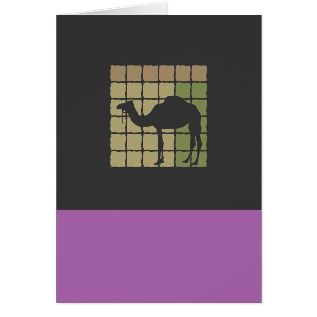 Camel (Vorne)