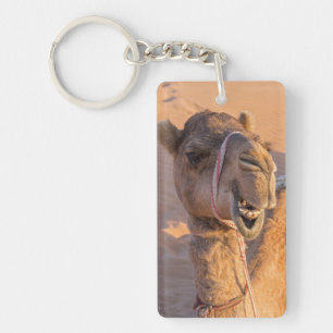 Camel avec une drôle d'expression faciale - Oman
