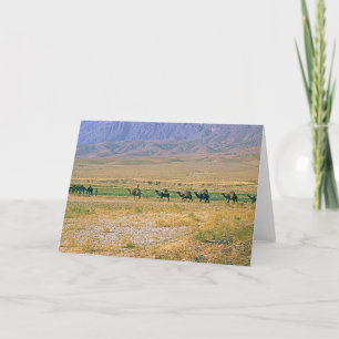 Camel Caravan Card Karte