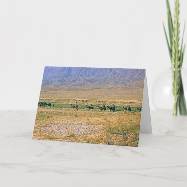 Camel Caravan Card Karte (Vorderseite)