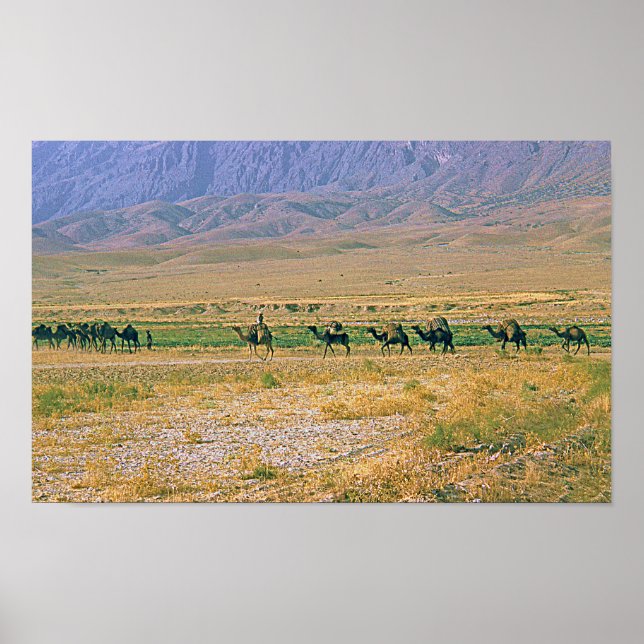Camel Caravan Poster (Vorne)