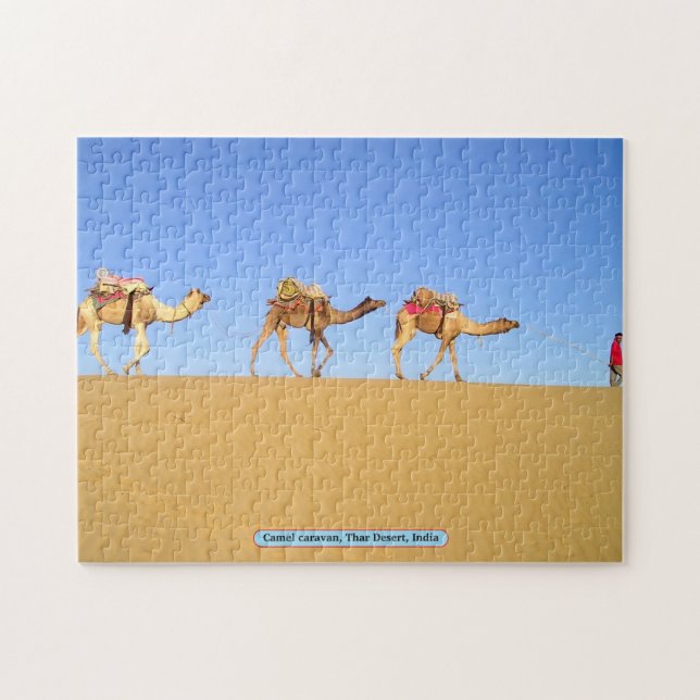 Camel Caravan, Thar Desert, Indien (Horizontal)