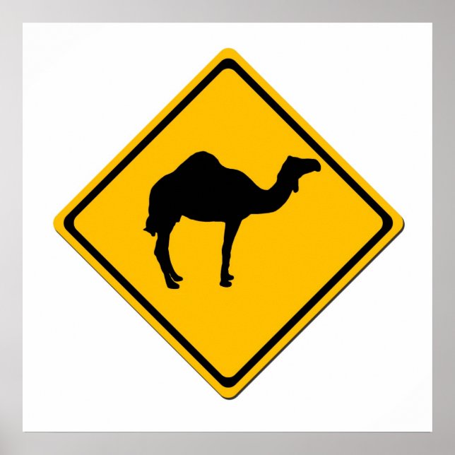 Camel Crossing Poster (Vorne)