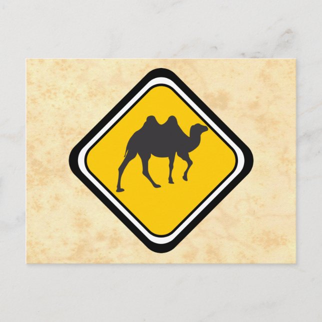 Camel Crossing Postkarte (Vorderseite)