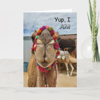 Camel Cuteness Denken über Ihre Karte