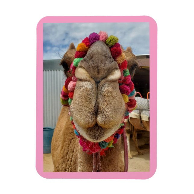 Camel Cuteness Pink Magnet (Vertikal)