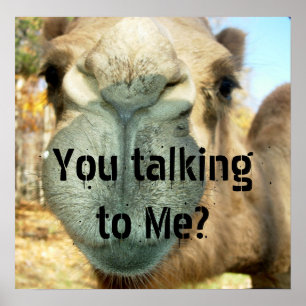 Camel Face, sprichst du mit mir? Poster