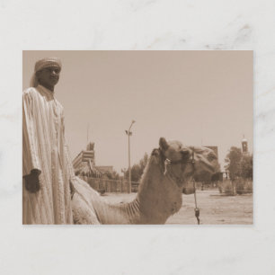 Camel Herder Postkarte