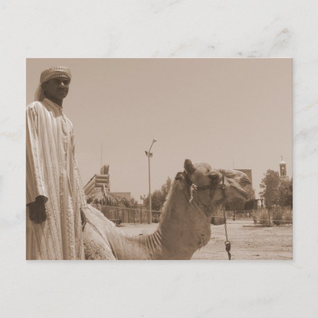 Camel Herder Postkarte (Vorderseite)