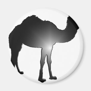 Camel-Illusion Magnet