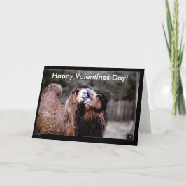 Camel Kiss - Valentinstag Card Feiertagskarte