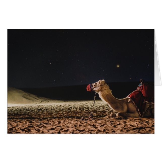 Camel liegt mitten im Himmel (Vorderseite (Horizontal))
