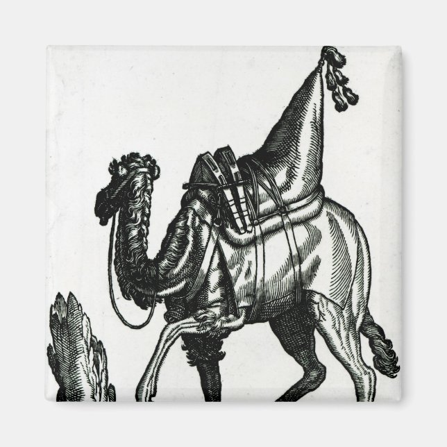 Camel Magnet (Vorne)
