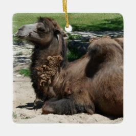 Camel Ornament