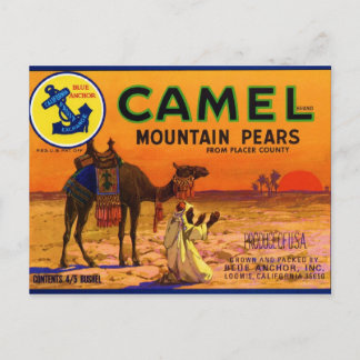 Camel Pears Postkarte