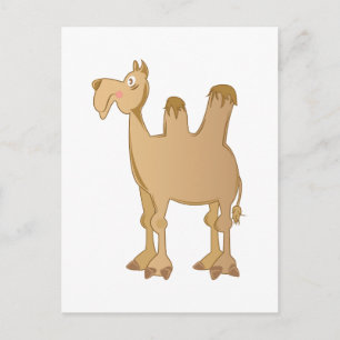 Camel Postkarte