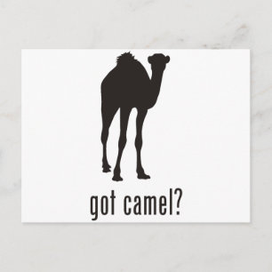 Camel Postkarte