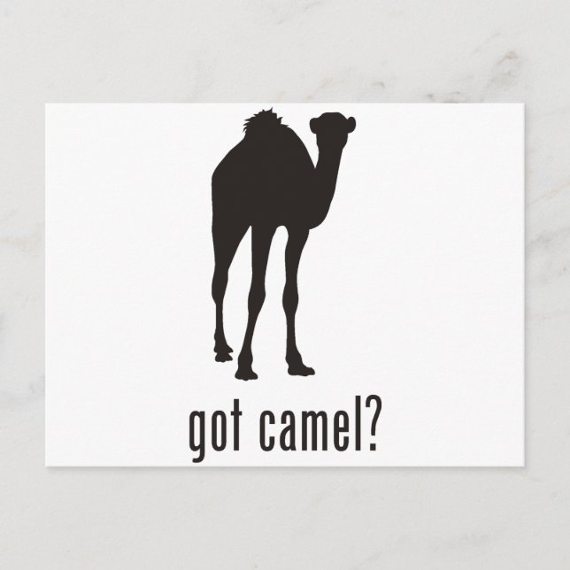 Camel Postkarte (Vorderseite)