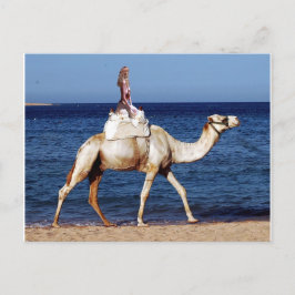 Camel Riding am Strand Postkarte