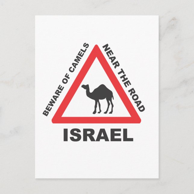 Camel Sign in Israel Postkarte (Vorderseite)