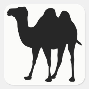 Camel Silhouette Quadratischer Aufkleber