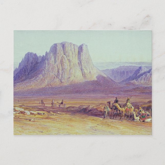 Camel Train, Condessi, Mount Sinai, 1848 Postkarte (Vorderseite)