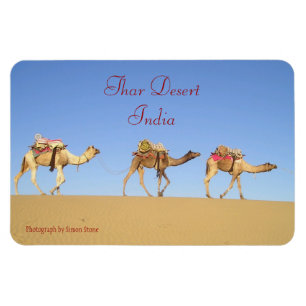 Camel Train, Thar Desert Magnet