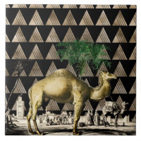 Camel von D'Orbigny