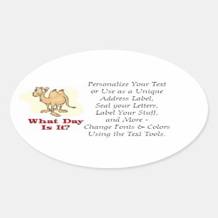 Camel - Was für ein Tag ist es? Ovaler Aufkleber