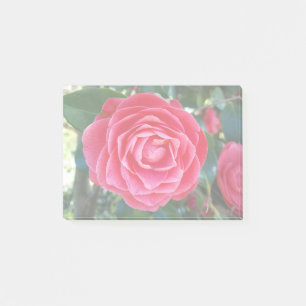 Camelia Notes Post-it Klebezettel
