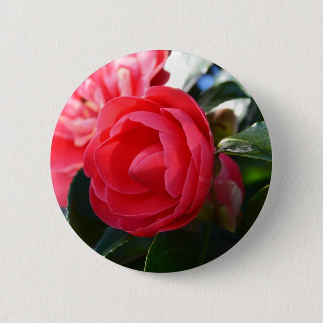 Camellia Blossom Button (Vorderseite)