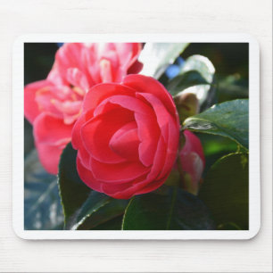 Camellia Blossom Mousepad