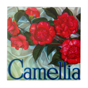 Camellia Brand Orange Etikett Fliese