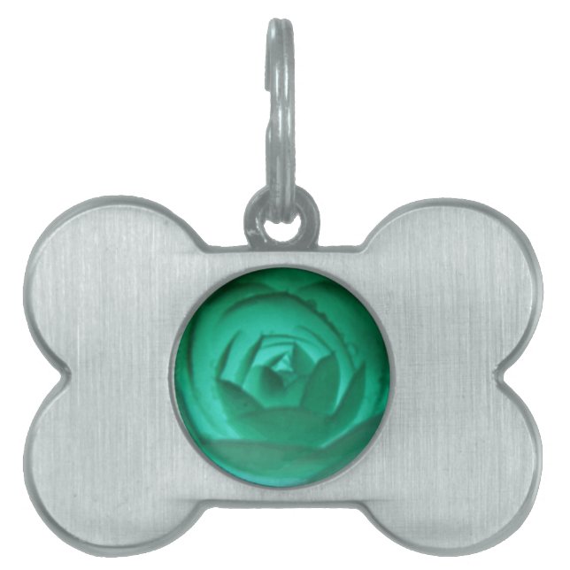 Camellia Hypnotic Pet Tag Tiermarke (Vorderseite)
