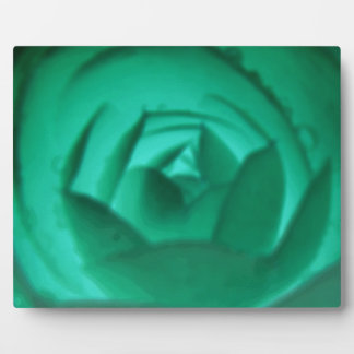 Camellia Hypnotic Plaque Fotoplatte