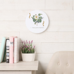 Camellia japonica 'Alba Plena' Große Wanduhr