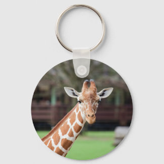 Camelopard (Giraffe) Schlüsselanhänger