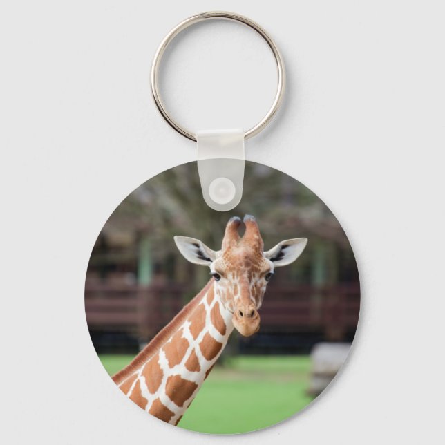 Camelopard (Giraffe) Schlüsselanhänger (Vorderseite)