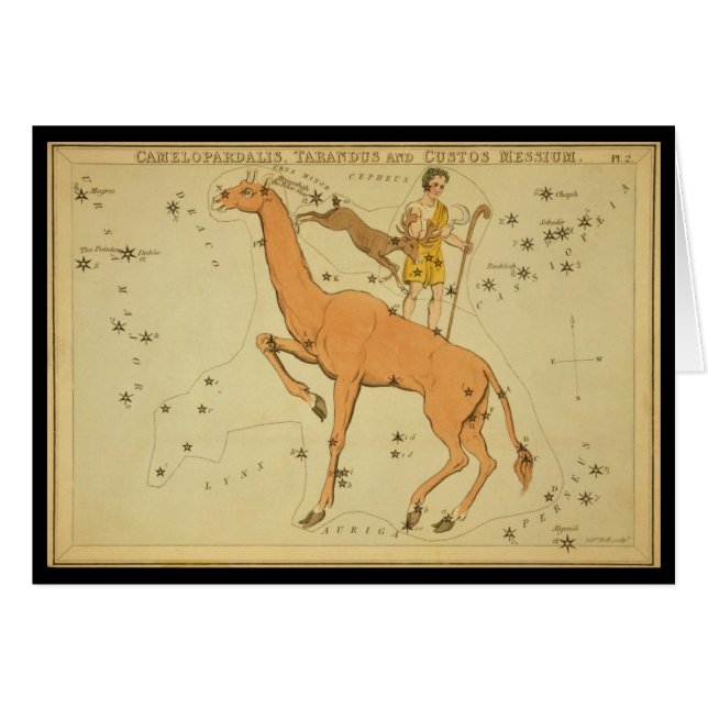 Camelopardalis, Tarandus und Custos Messium (Vorderseite (Horizontal))