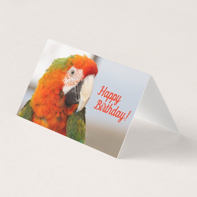 Camelot Macaw Bonne carte d'anniversaire (Front)