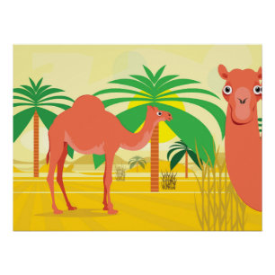 Camels Illustration Poster