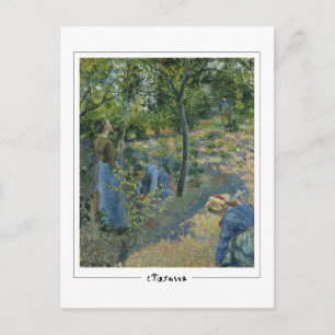 Camille Pissarro #30 - Carte postale Art